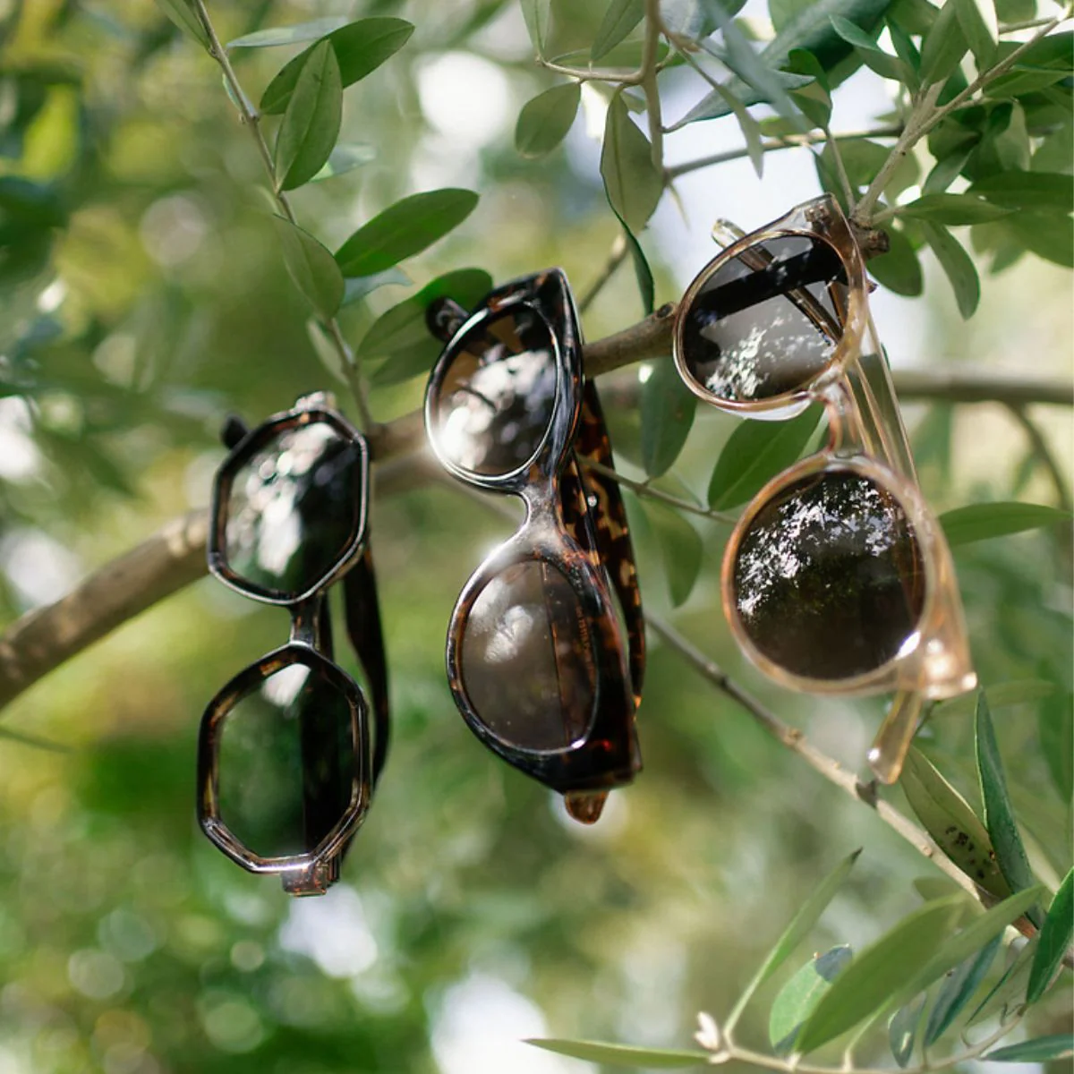 Lunettes de soleil écaille marron forme papillon - Image 3